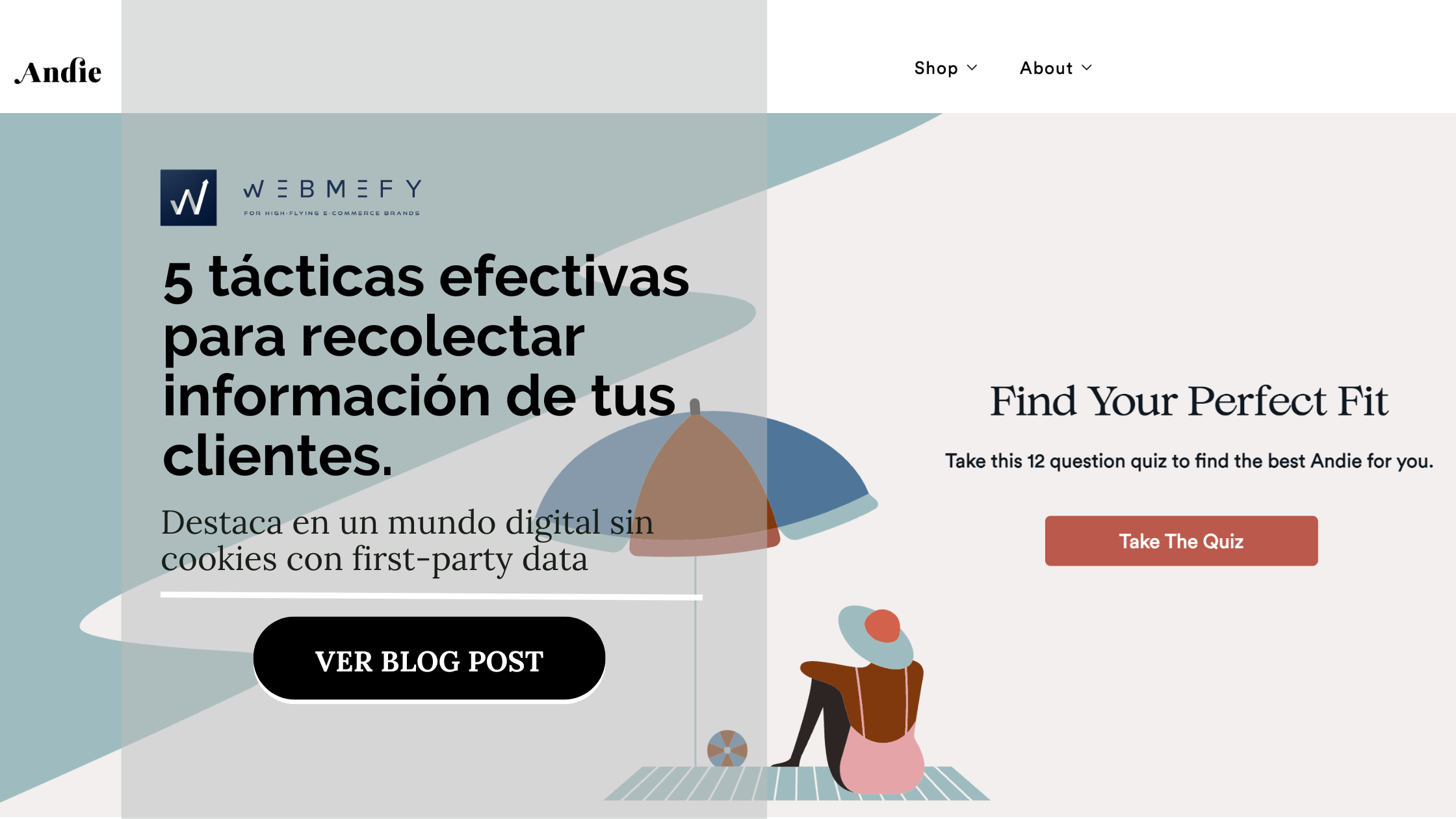 Destaca en un mundo digital sin cookies con first-party data. 5 estrategias efectivas para recolectar datos de tus clientes.